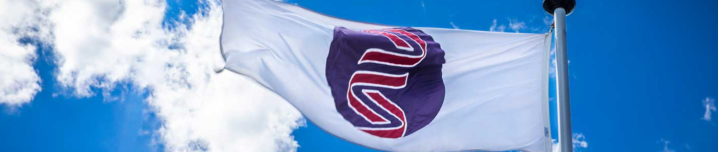 Banner of a white flag with the Sonic helix